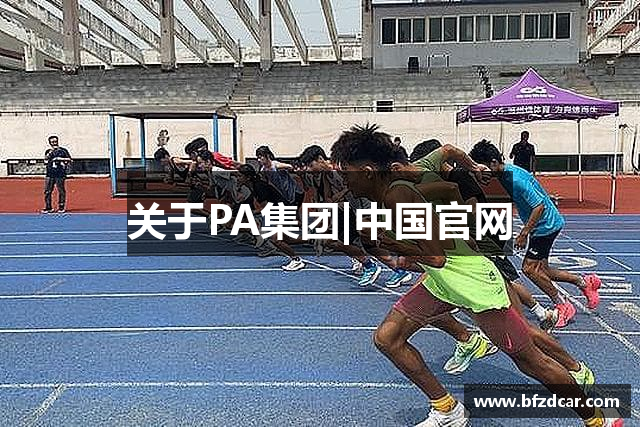 关于PA集团|中国官网
